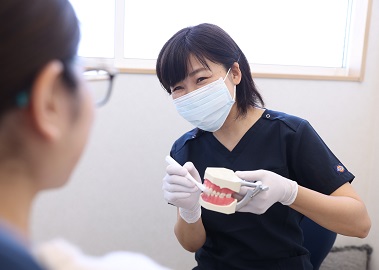 歯(義歯)治療
