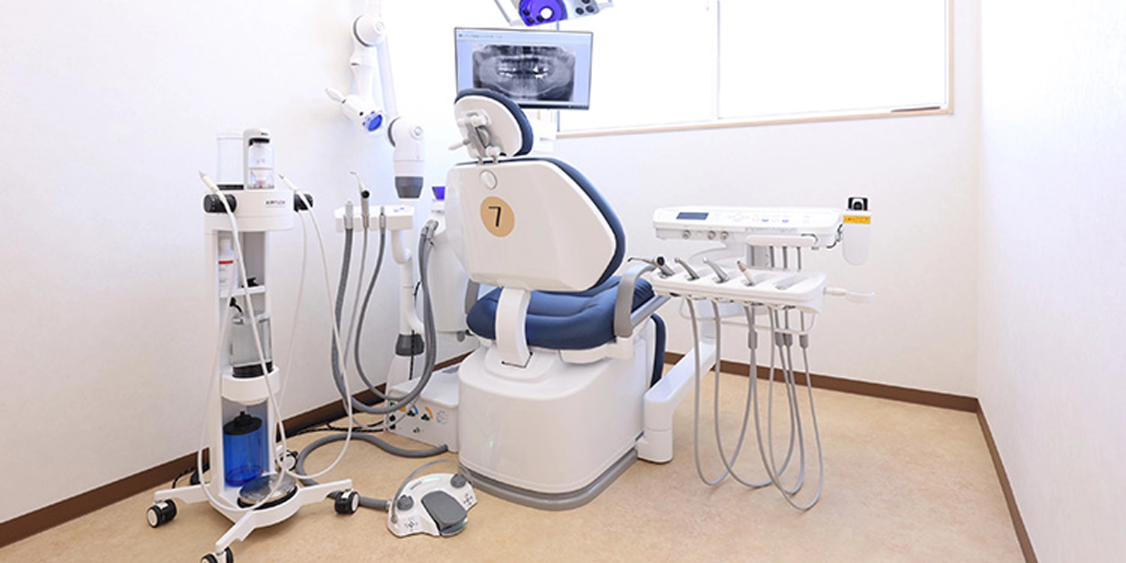 生え変わり期の歯磨きと定期受診の重要性